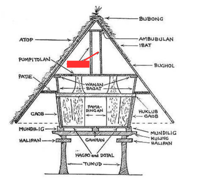 term image