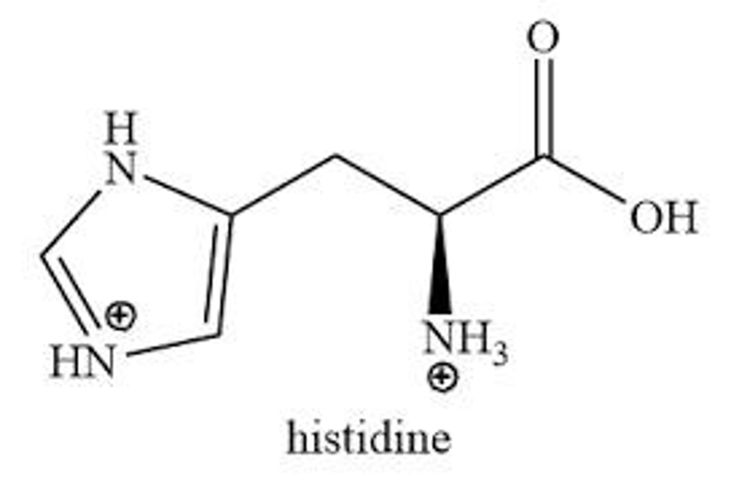 <p>Amino acid represented by the letter C.</p>