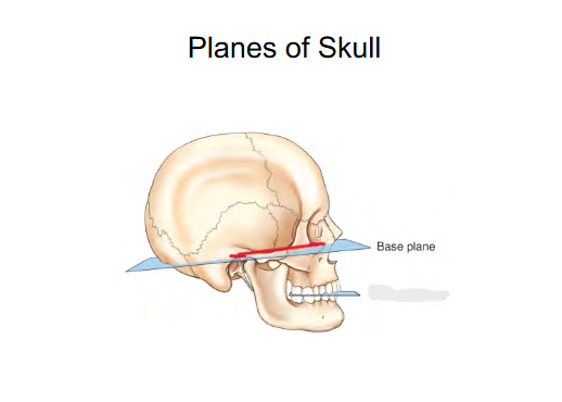 <p>Connects Interorbital margin to External Auditory Meatus (ear canal) (EAM).</p><ul><li><p>Helps position the head</p></li><li><p>sometimes is called the Frank-fort horizontal plane</p></li></ul><p></p>
