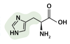 <p>what aa is this</p>