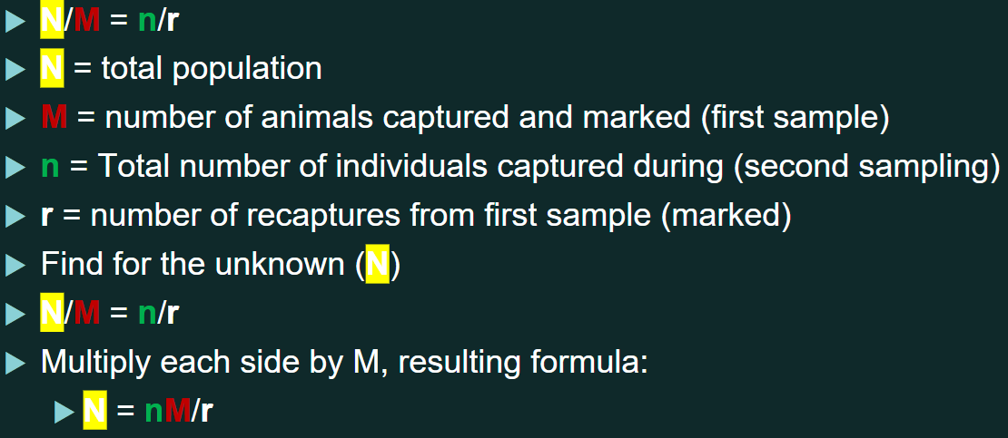 <p>the process of trapping, marking, and releasing individuals to count population and sampling. Can be physical or visual by counting them.</p>