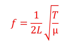 <p>L = length of the vibrating string</p><p>T = tension</p><p>μ = mass per unit length</p>