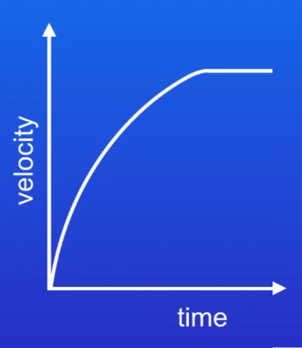 <p>As the object begins to fall, the only force is weight. The object accelerates towards the ground. As the object falls, air resistance acts upwards. Weight is still greater than air resistance so the object continues to accelerate. As the velocity increases, air resistance also increases. When air resistance balances weight, the resultant force is zero and the velocity stays constant. This is the terminal velocity.</p>