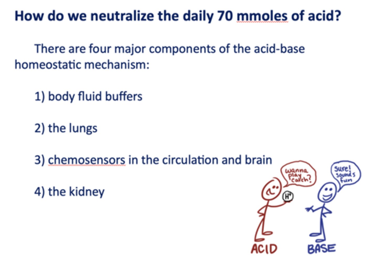 <p>- Body fluid buffers</p><p>- The lungs</p><p>- Chemosensors in the circulation and brain</p><p>- The kidney</p>
