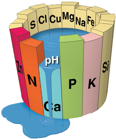 możliwość wzrostu i rozwoju organizmu określa czynnik, którego wartość jest minimalna w stosunku do zapotrzebowania.