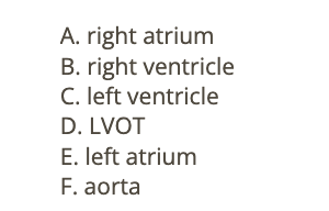 <p>e) right atrium</p>