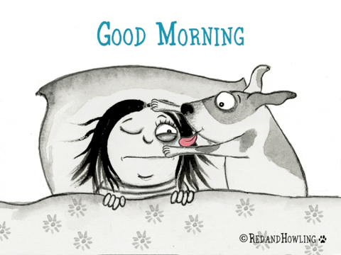 wake up