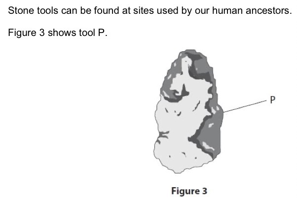 <p>Describe how tool P was made.</p>