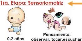 <p>¿En qué consiste la Etapa Sensoriomotora (del nacimiento a los 2 años)?</p>