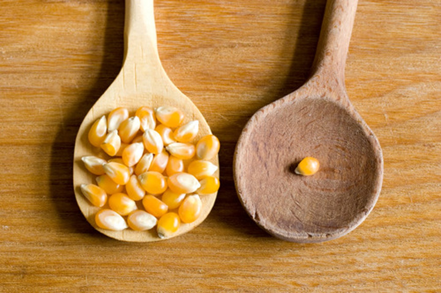 <p>un peu moins de</p>