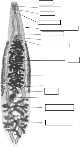 <p>Label and Name</p>