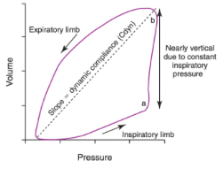 <p>What causes this loop?</p>