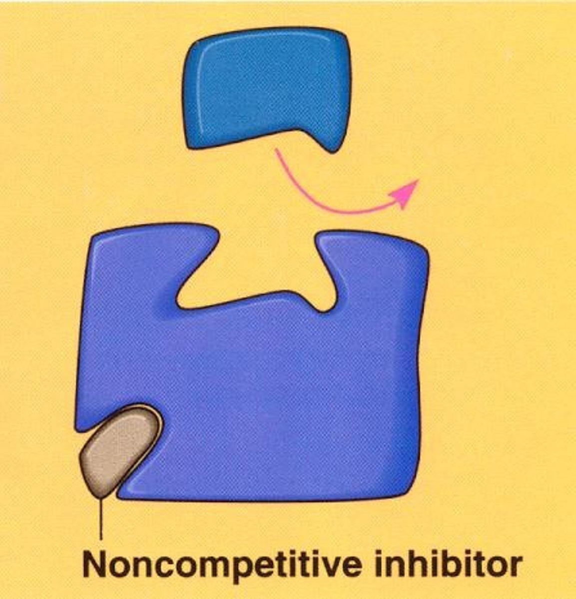 <p>A substance that reduces the activity of an enzyme by binding to a location remote from the active site, changing its conformation so that it no longer binds to the substrate.</p>