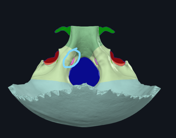 <p>What is circled</p>