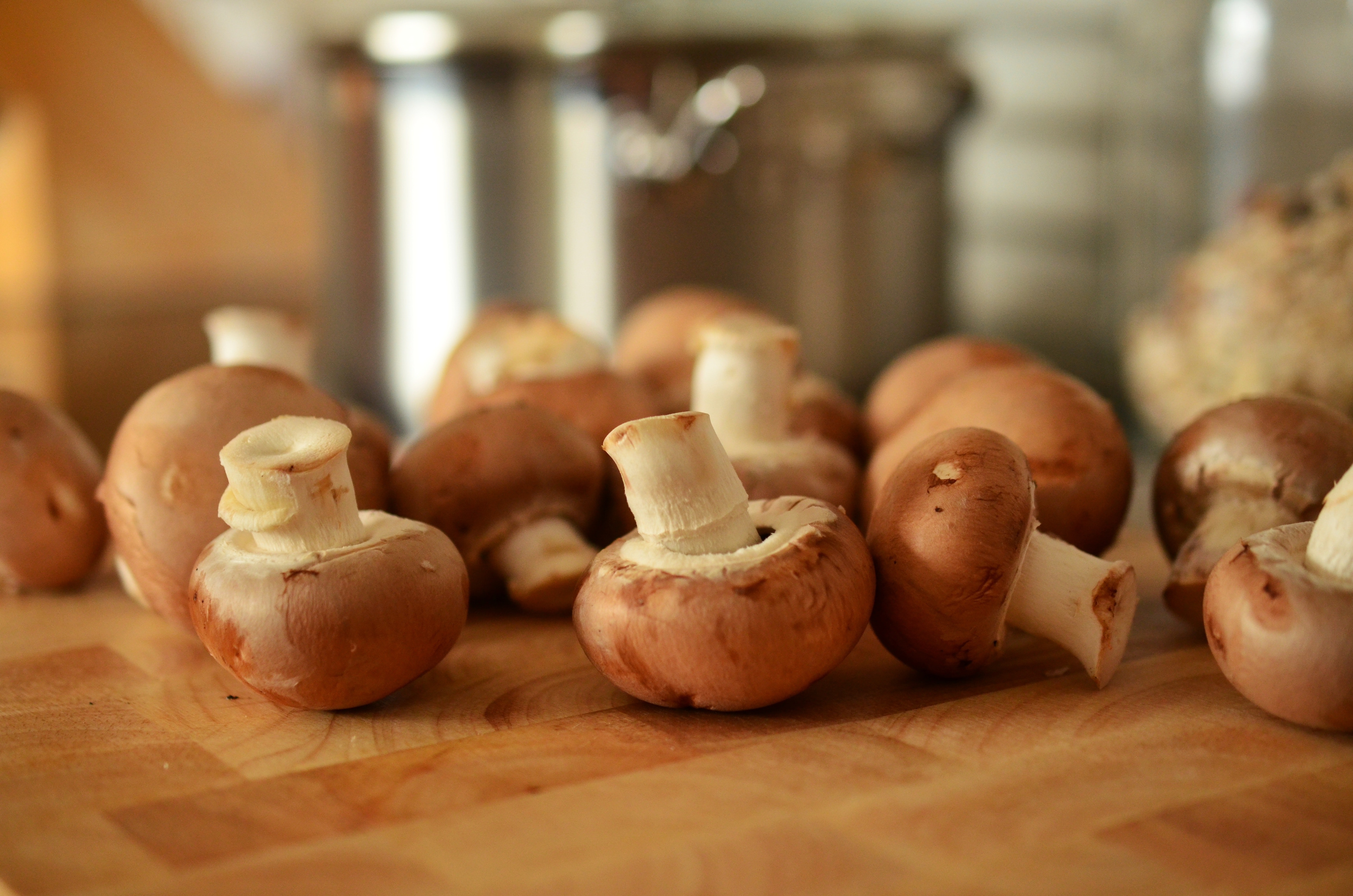 der Pilz
