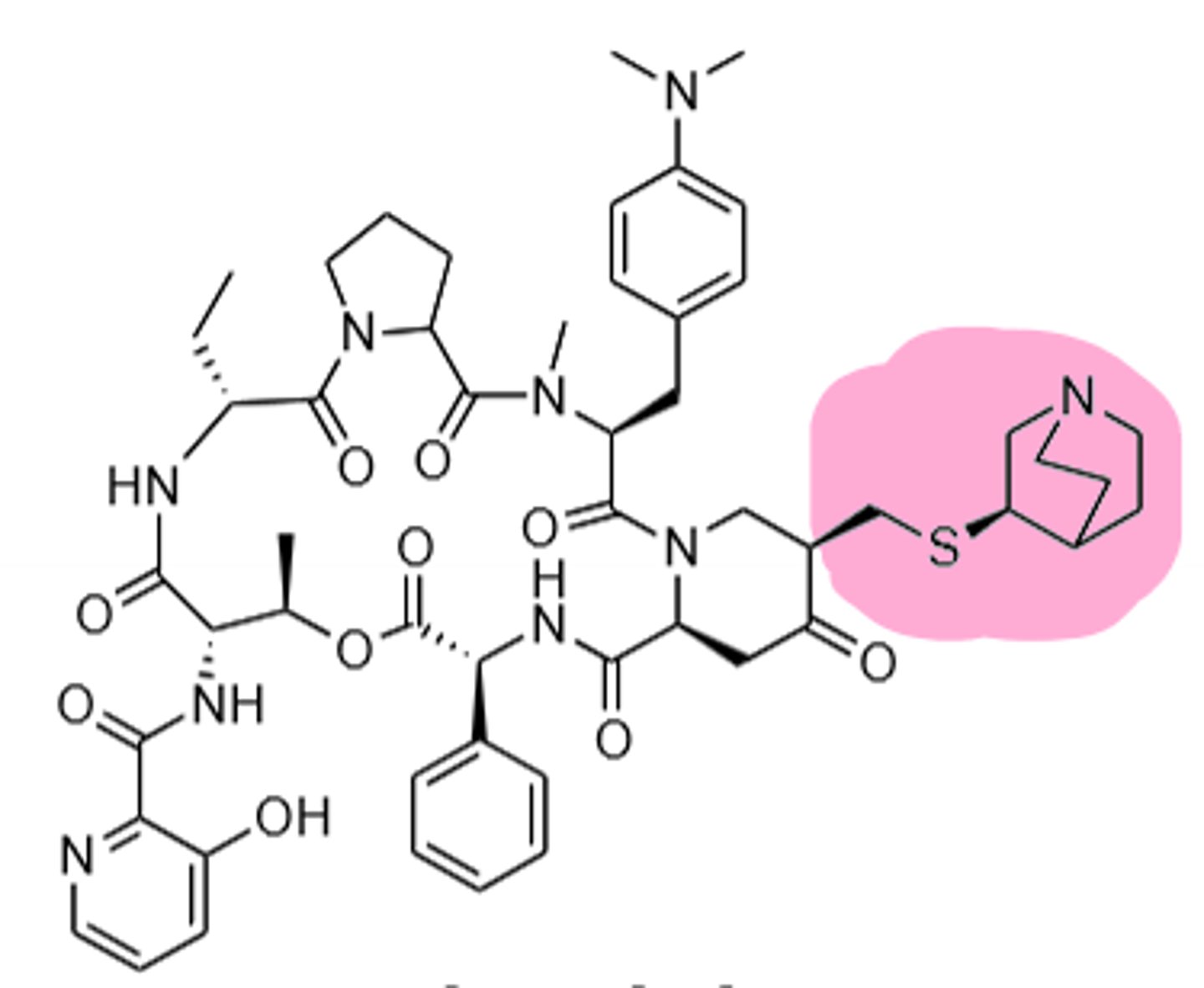 <p>Streptogramin, derivative of pristinamycin I and pristinamycin II, binds in ribosomal tunnel and causes blockage of tunnel, A2062 mutation creates resistance to this drug. Main resistance is a methylation in A2058 in the 23S rRNA causing decrease binding the the ribosome. Reserved for life-threatening gram (+) organisms. CYP3A4, concentrated in macrophages.</p>