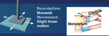 <p>Examples of which synovial joint type?</p><ul><li><p>Intercarpal joints</p></li><li><p>Intertarsal joints</p></li><li><p>Sternoclavicular and acromioclavicular joints</p></li><li><p>Vertebrocostal joints</p></li><li><p>Sacro-iliac joints</p></li></ul>
