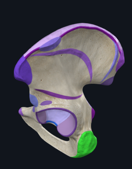 <p>What is highlighted green</p>