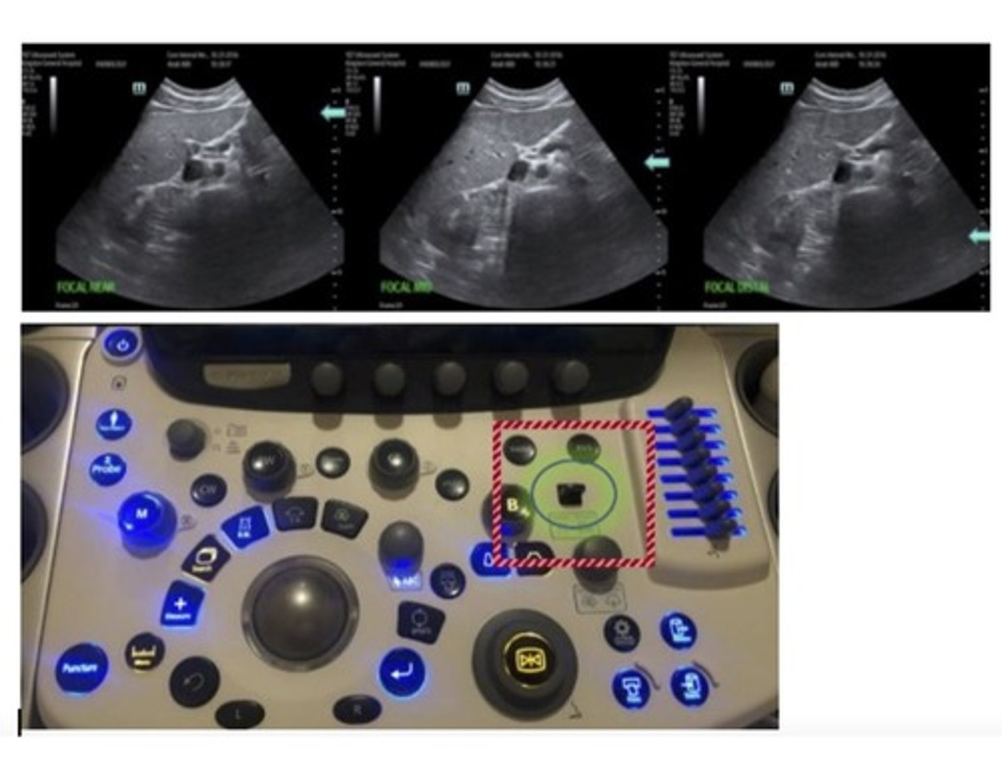 knowt flashcard image