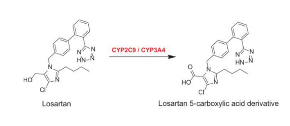 <p>a Prodrug that is converted to its active form, EXP3174, in the liver. It is primarily used for hypertension and to protect against kidney damage in diabetic patients. </p>