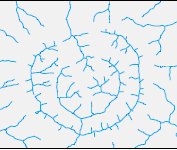 A drainage pattern in which streams follow a roughly circular or concentric path along a belt of weak rock, resembling in plan a ringlike pattern.
