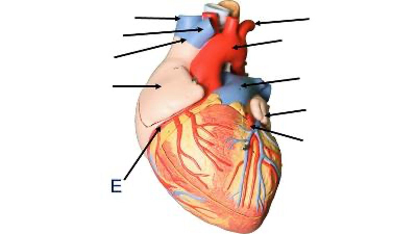 <p>What is this?</p>