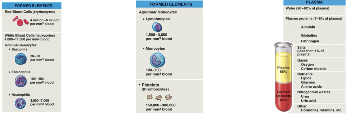 <p>RBC: contain hemoglobin and carry oxygen and most abundant in the blood</p><p>WBC: immune defense, </p><p>Platelets (thrombocytes: fragmented cells that initiate blood clotting&nbsp;</p><p>CBC with differentiation helps identify&nbsp; the kinds of WBC and&nbsp;</p><p>Perfusion requires adequate BV + plasm proteins and platets and clotting factors</p><ul><li><p>disruptions impact CO and tissue oxygenation</p></li></ul><p></p>