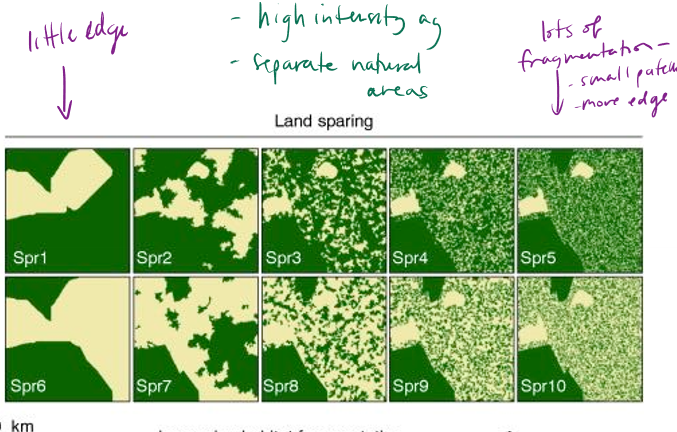 <p>What is land sparing?</p>