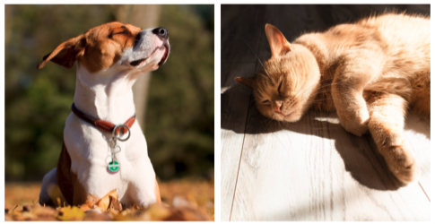 <p>what type of heat is this an example of </p>