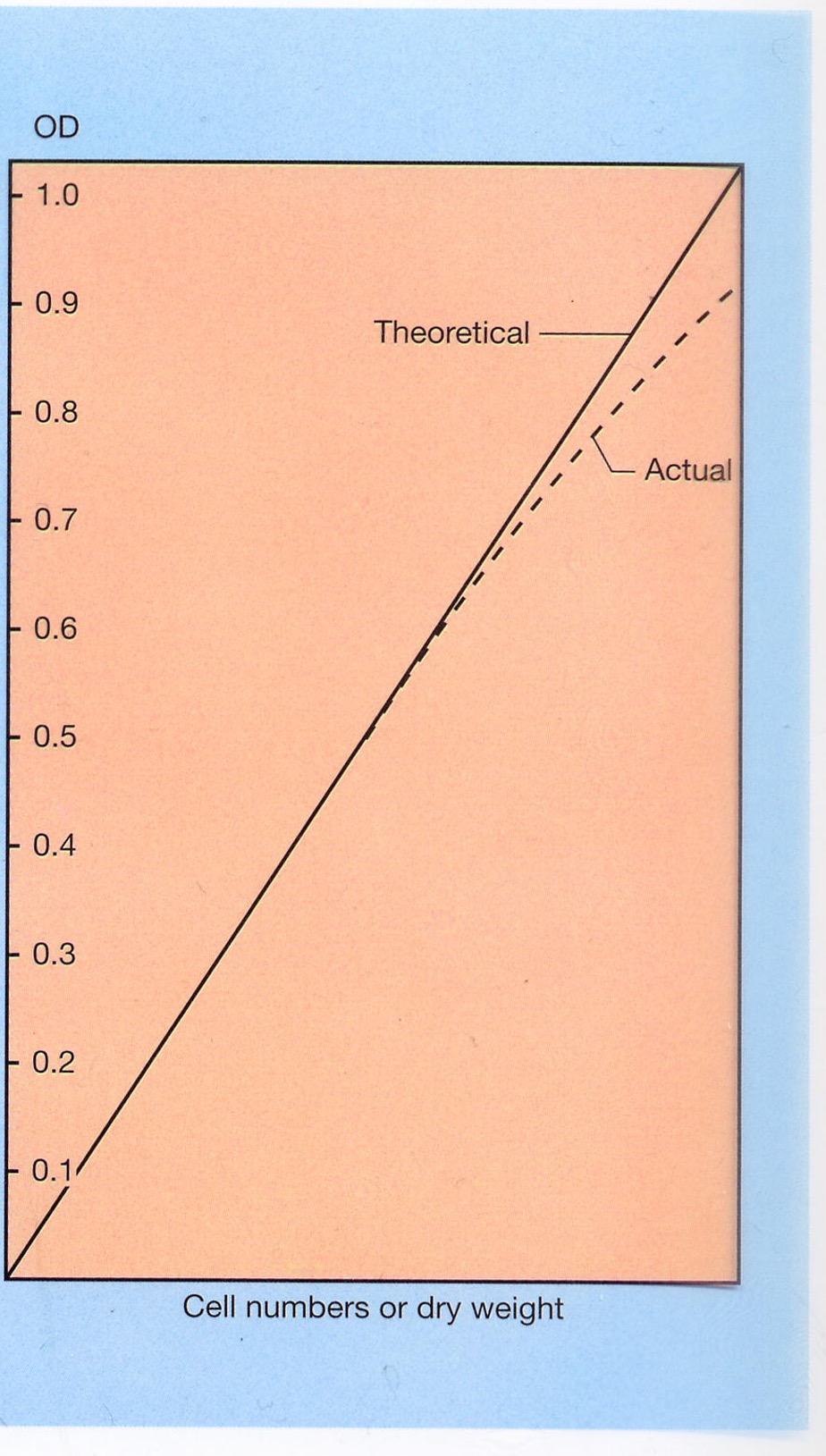 <p>The <span><span>Optical density (OD) is proportional to cell numbers; so you can use a standard curve for conversion. However, it is less reliable at high OD. </span></span></p>