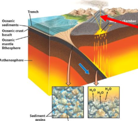 <p>What is this?</p>