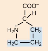 <p>polar, uncharged R groups</p>