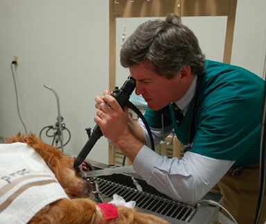 <p>endoscope</p>