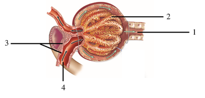 <p>What is 4 pointing at?</p>