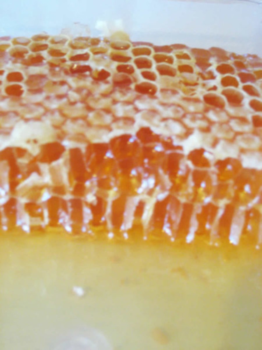 <p>honey</p>