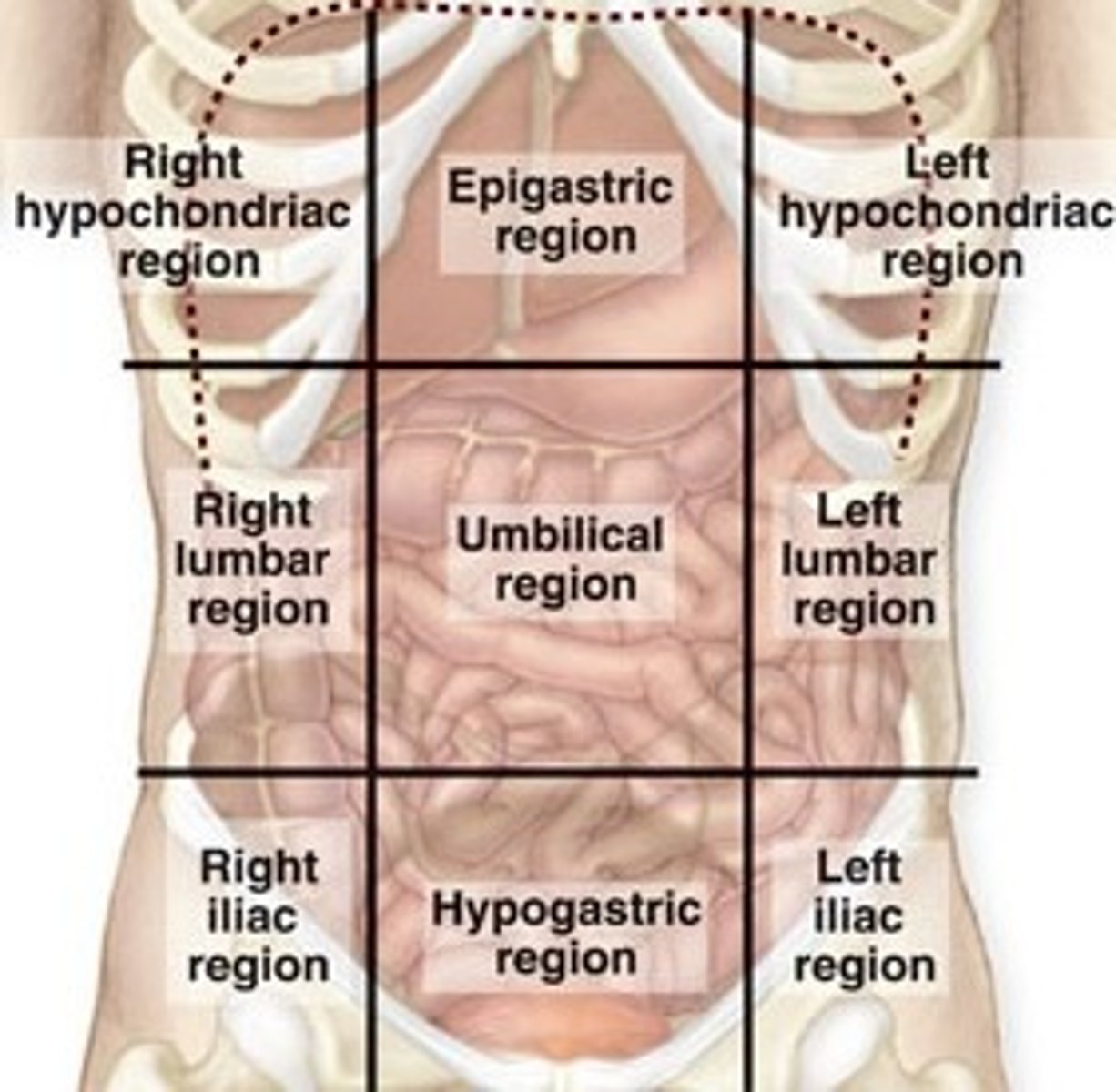 <p>See Diagram</p>