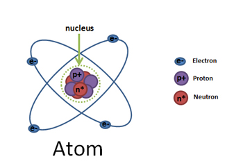 <p>Negatively charged subatomic particles</p>