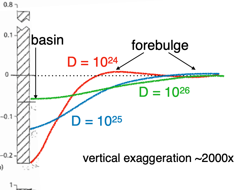 <p>larger D = more rigid = less flexure</p>