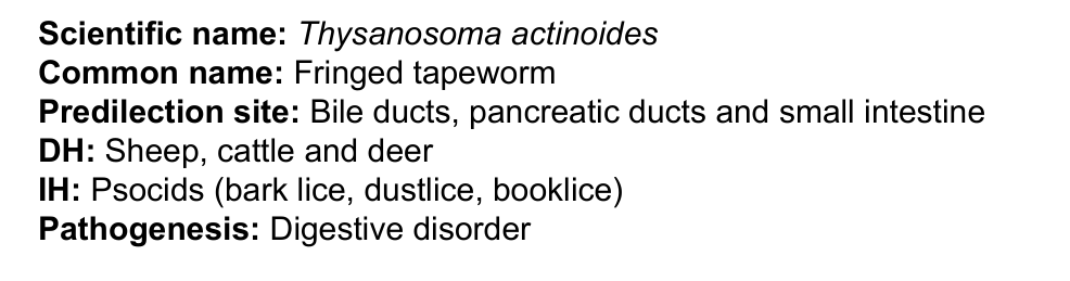 <p>Thysanosoma actinoides</p>