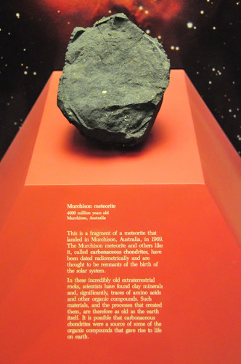 <p>· A "carbonaceous" rock that was formed out in space by an early solar system that was found by ppl who recognized it</p><p>· It contains 70 diff amino acids, various nitrogenous bases, hydrocarbon chains, fatty acids, & many other organic compounds</p>