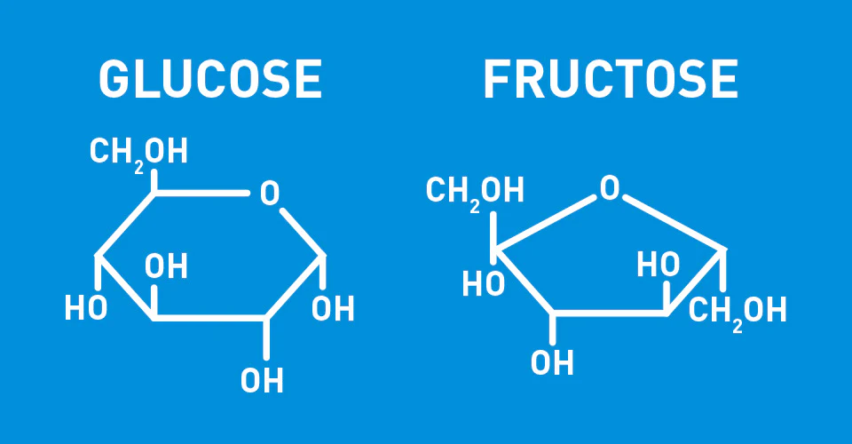 <p>Glucose: 6 Carbon Frame</p><p>Fructose: 5 Carbon Frame</p>