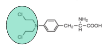 <p>Based off the functional group (green), what is the drug class?</p>