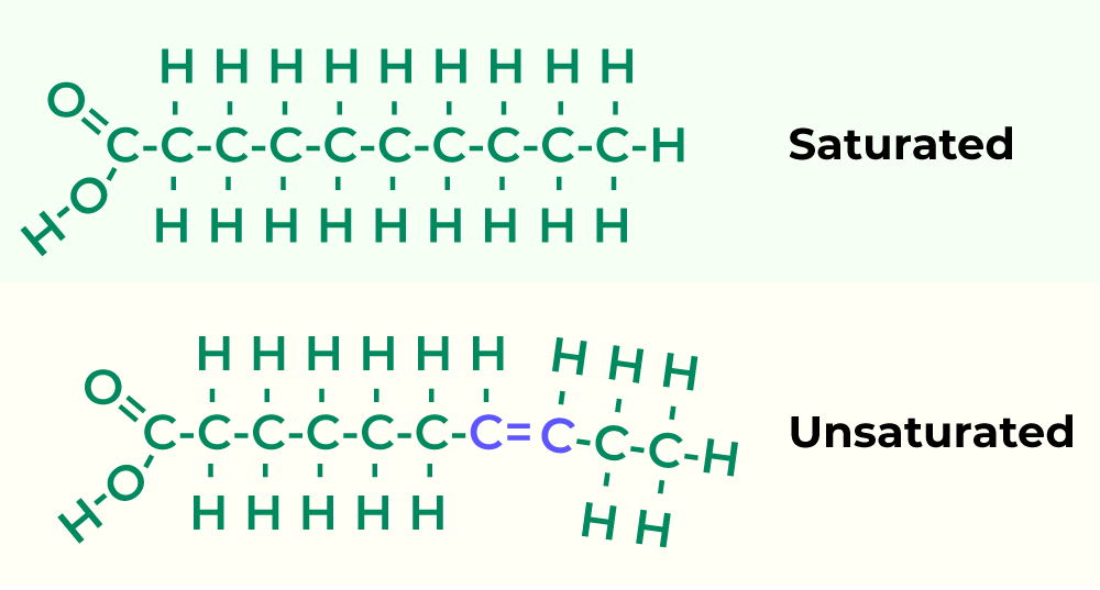 <p>A saturated fatty acid only has a single bond and is solid at room temperature. While an unsaturated fatty acid has one or more double bonds and is liquid at room temperature.</p>