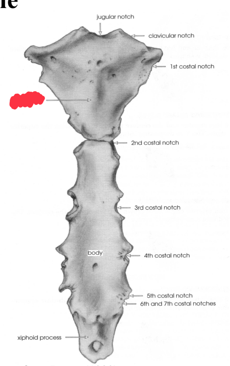 <p>What is this structure?</p>