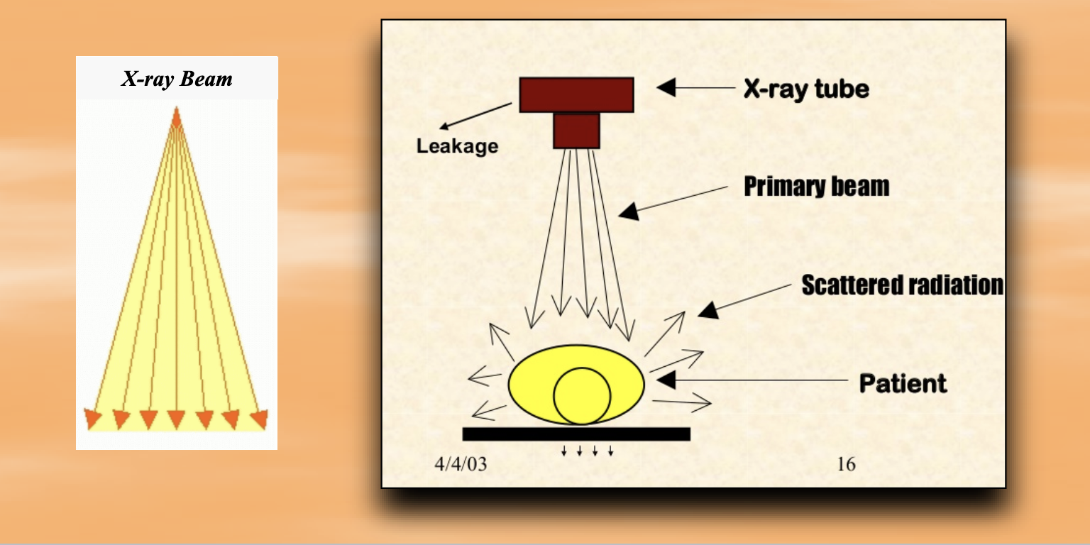 <p><strong>How do x-rays <u>travel</u> from the source?</strong></p>