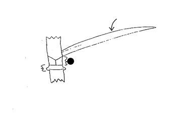 <p>Part of grass?</p>