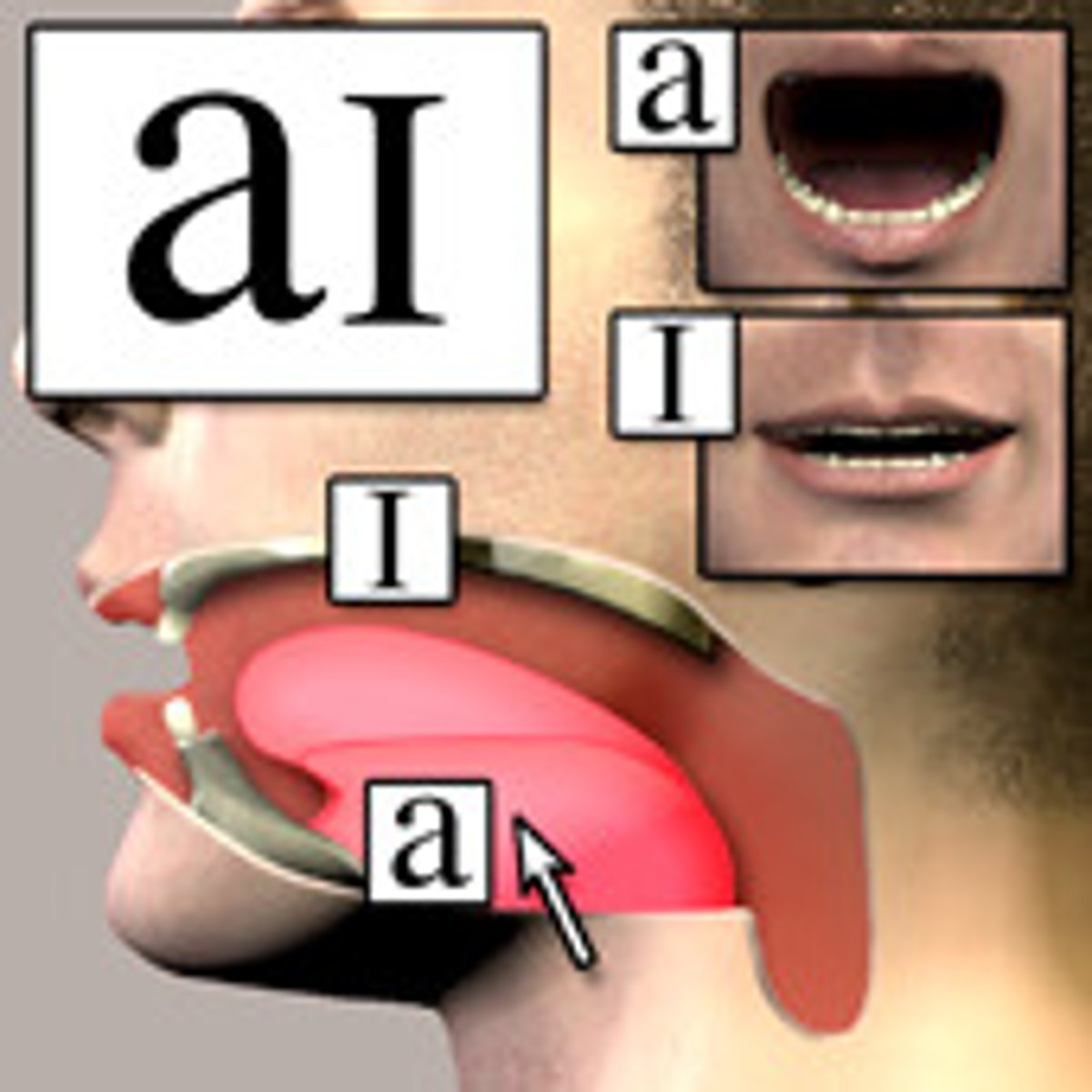 <p>a distinctive way of pronouncing a language, especially one associated with a particular country, area, or social class.</p>