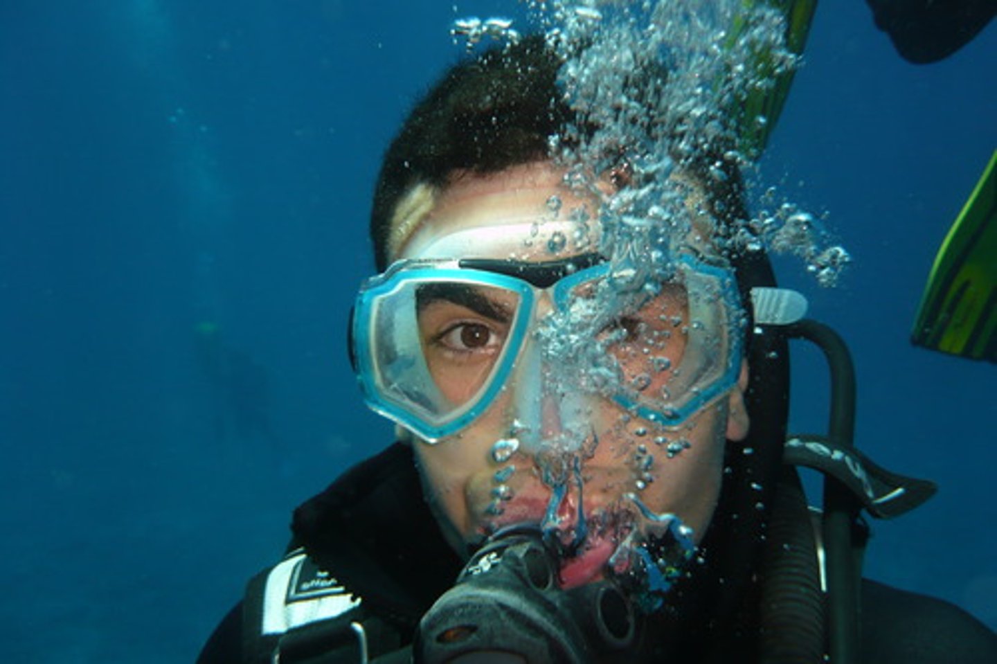 <p>to scuba dive</p>