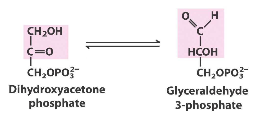 <p>what enzyme</p>