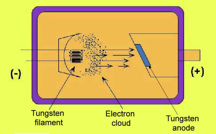 <p>current <strong>heats</strong> up the cathode abt 2200<sup>o</sup> C → electrons emitted → formation of <strong>electron cloud </strong></p>
